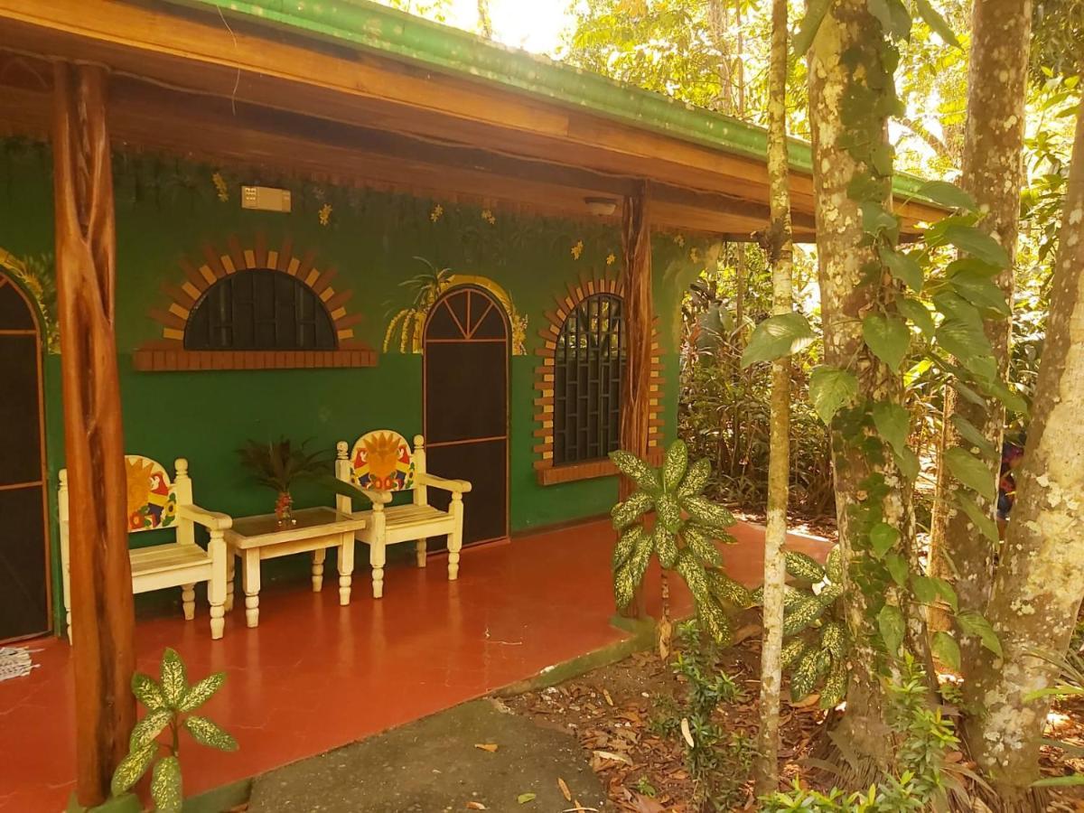 La Palapa Hut Nature Hostel Puerto Jiménez Kültér fotó